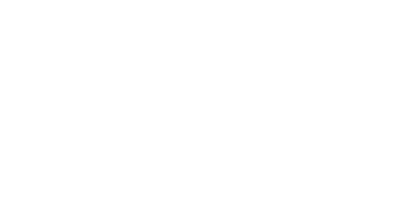 LPS Logística Profesional